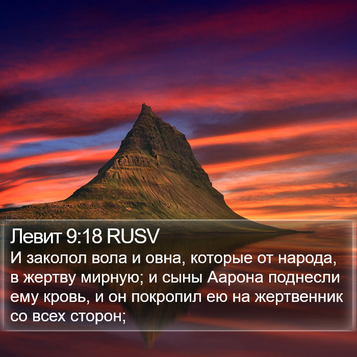 Левит 9:18 RUSV Bible Study