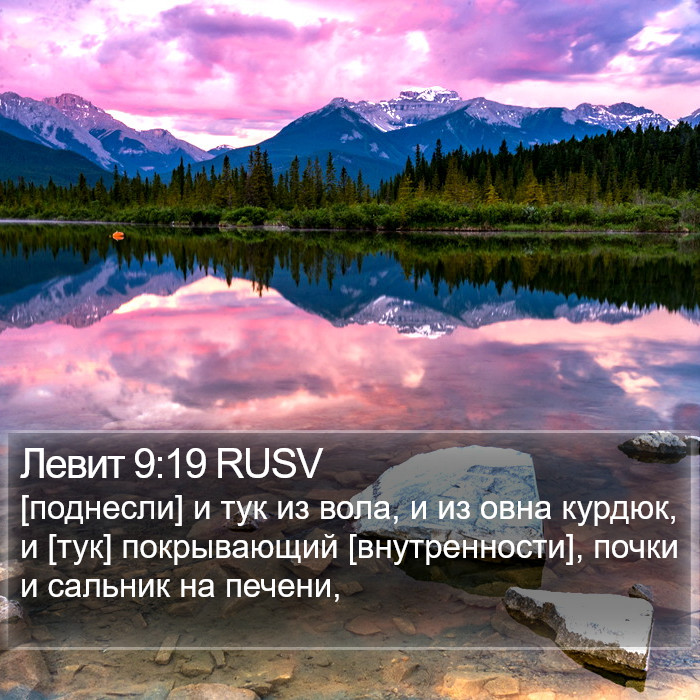 Левит 9:19 RUSV Bible Study