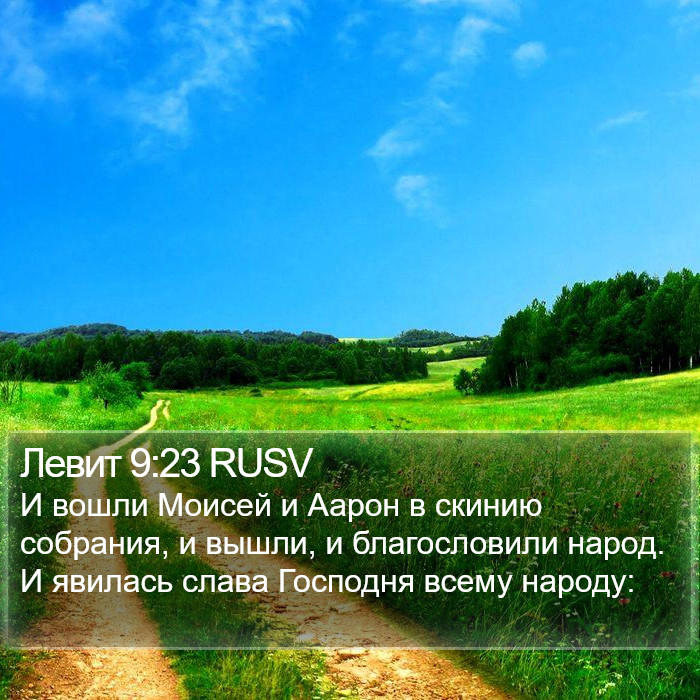 Левит 9:23 RUSV Bible Study