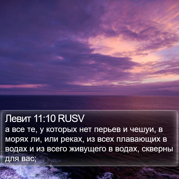 Левит 11:10 RUSV Bible Study