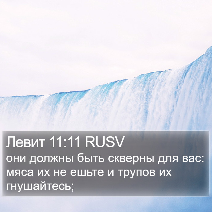 Левит 11:11 RUSV Bible Study