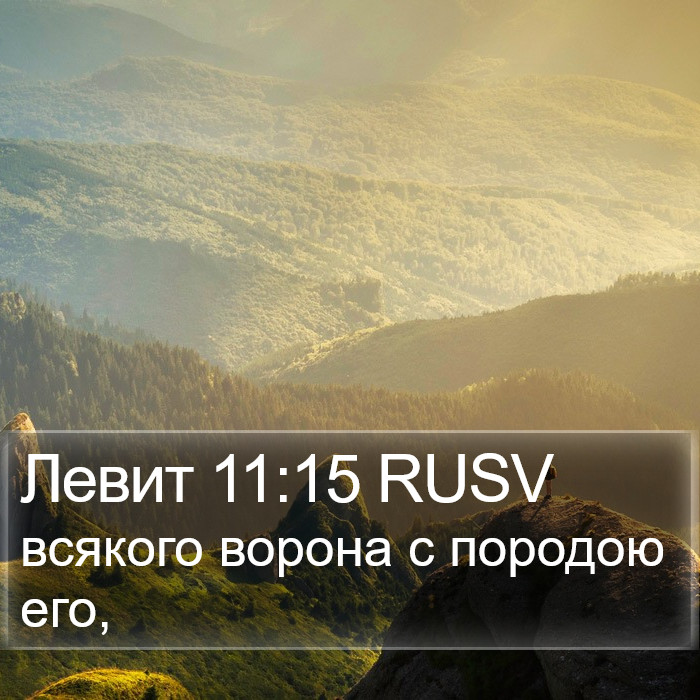 Левит 11:15 RUSV Bible Study