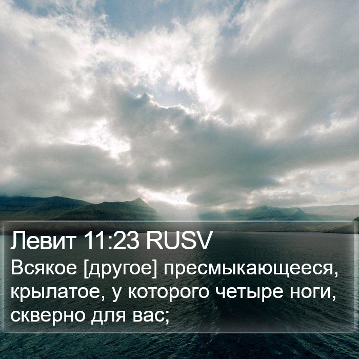 Левит 11:23 RUSV Bible Study