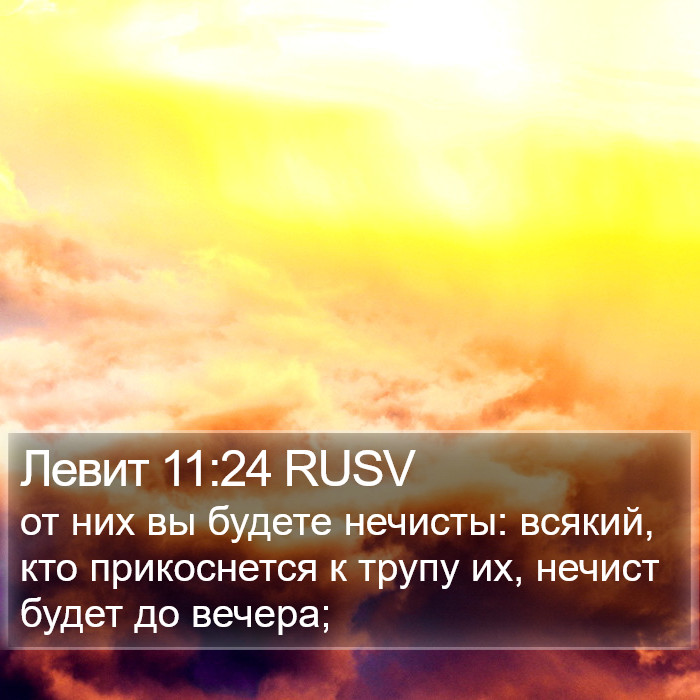 Левит 11:24 RUSV Bible Study
