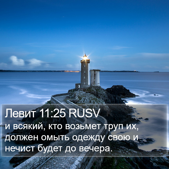 Левит 11:25 RUSV Bible Study