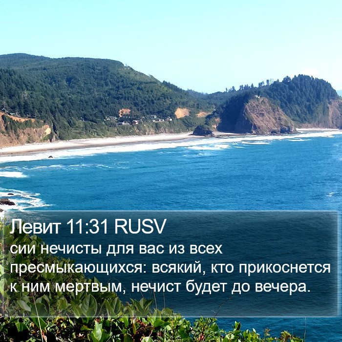 Левит 11:31 RUSV Bible Study