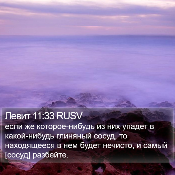 Левит 11:33 RUSV Bible Study
