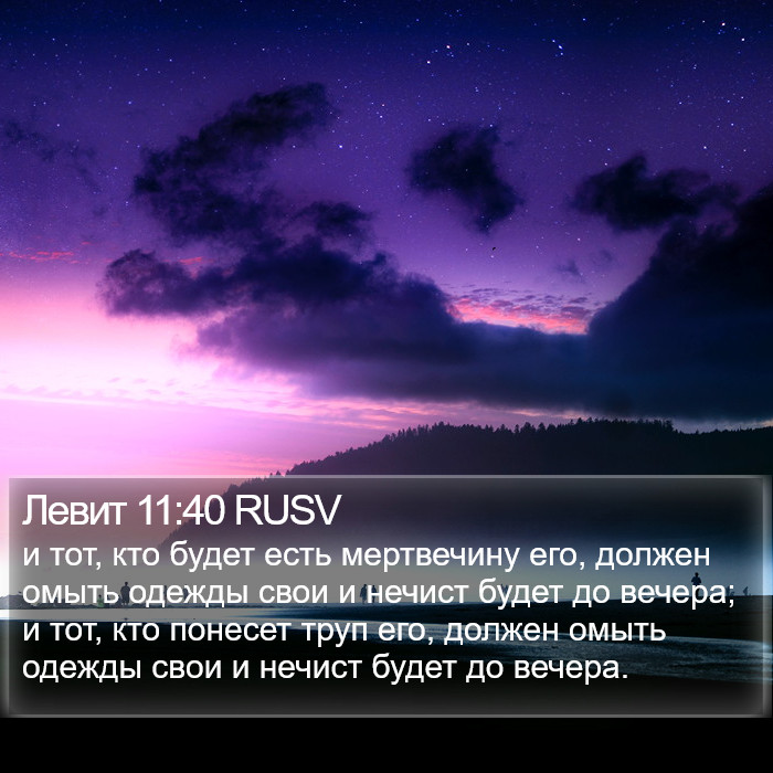 Левит 11:40 RUSV Bible Study