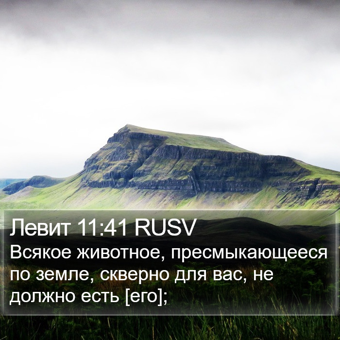 Левит 11:41 RUSV Bible Study