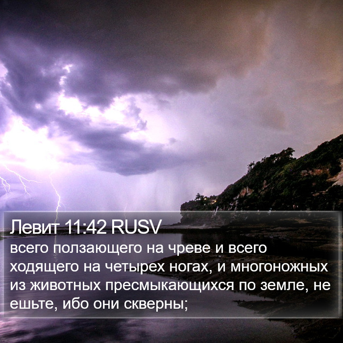 Левит 11:42 RUSV Bible Study