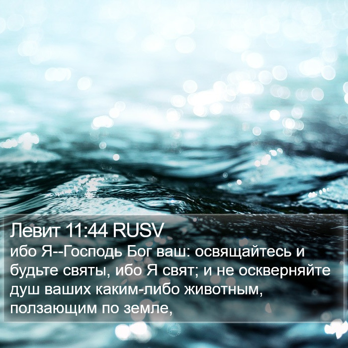 Левит 11:44 RUSV Bible Study