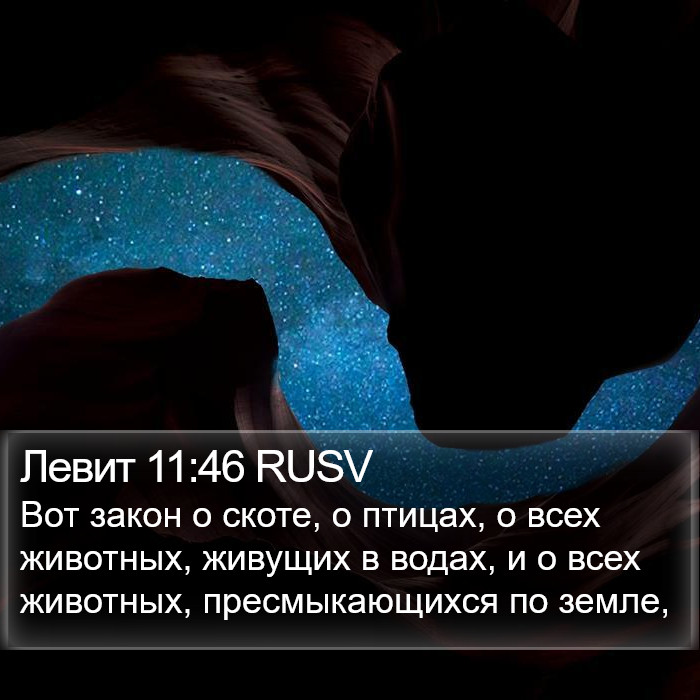 Левит 11:46 RUSV Bible Study