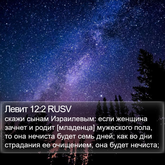 Левит 12:2 RUSV Bible Study