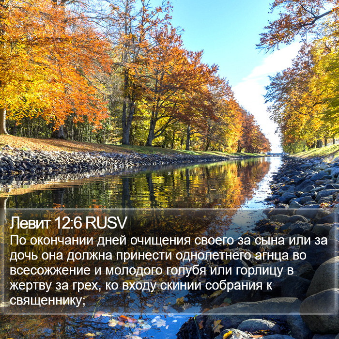 Левит 12:6 RUSV Bible Study