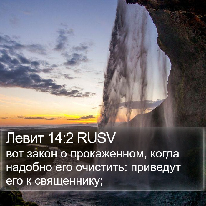 Левит 14:2 RUSV Bible Study