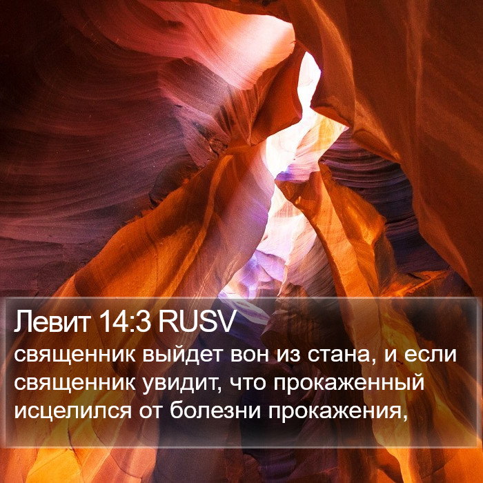 Левит 14:3 RUSV Bible Study