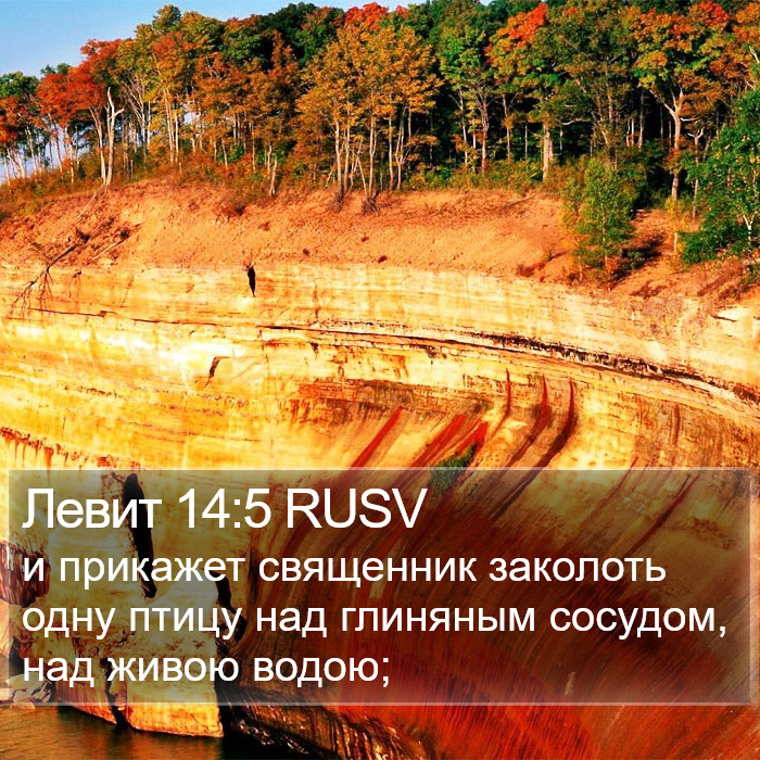 Левит 14:5 RUSV Bible Study