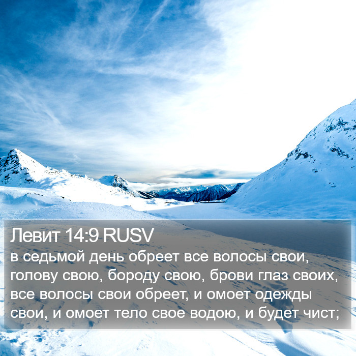 Левит 14:9 RUSV Bible Study