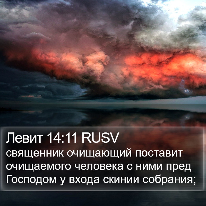 Левит 14:11 RUSV Bible Study