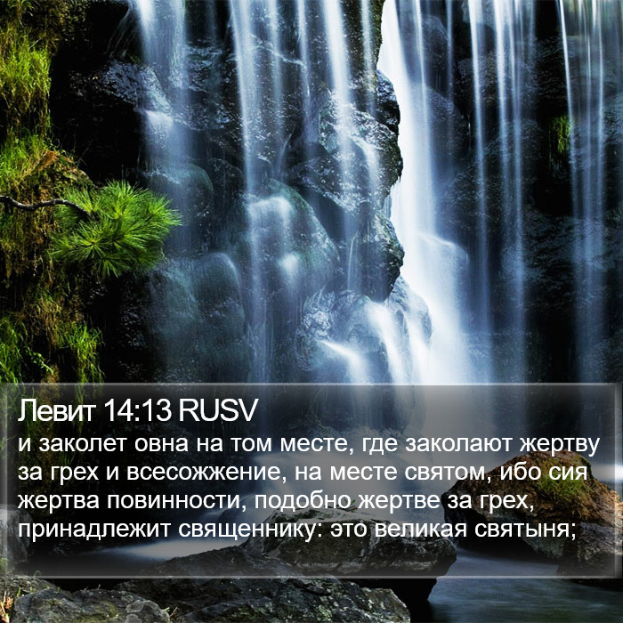 Левит 14:13 RUSV Bible Study