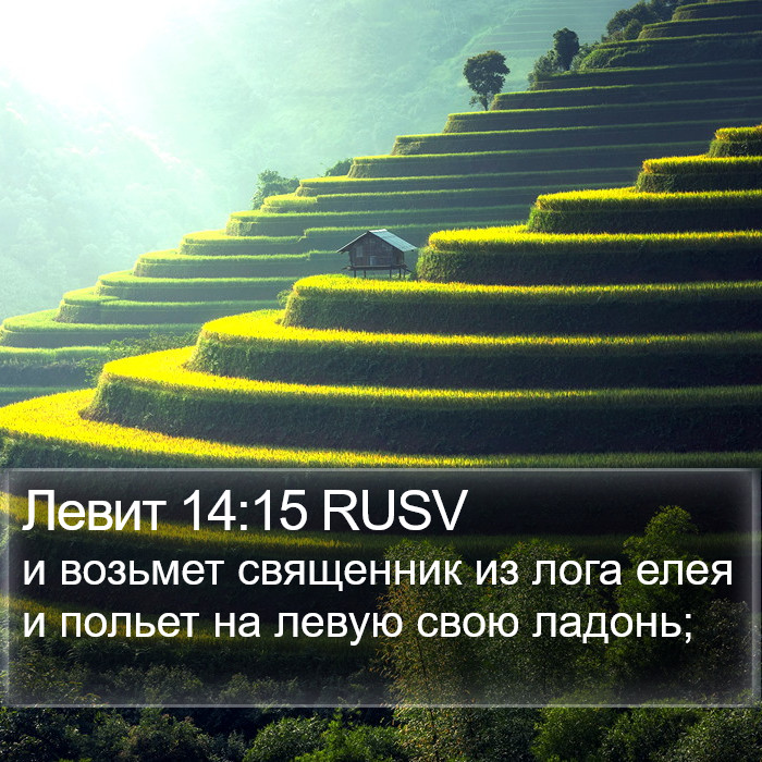 Левит 14:15 RUSV Bible Study