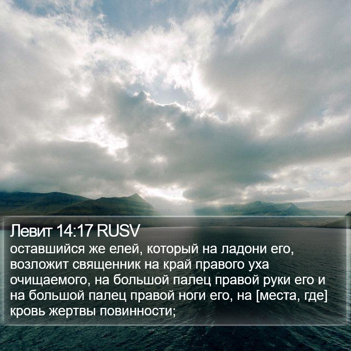 Левит 14:17 RUSV Bible Study