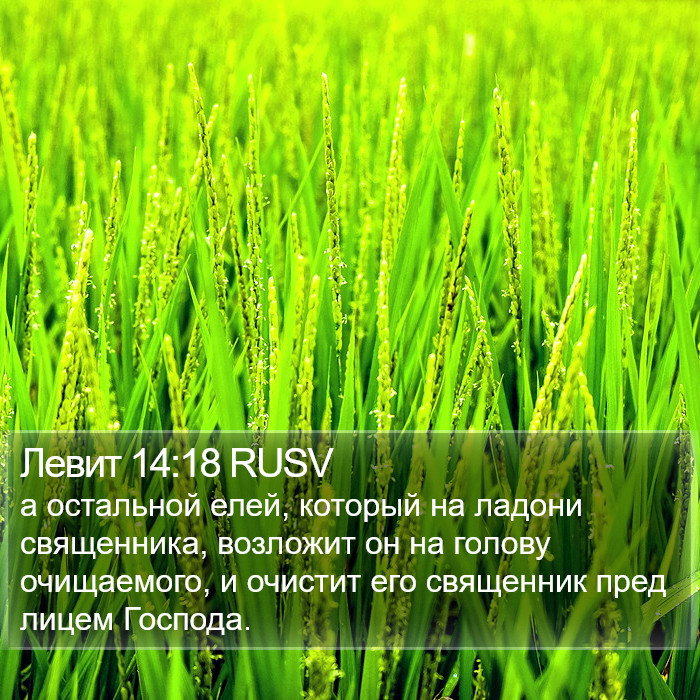 Левит 14:18 RUSV Bible Study