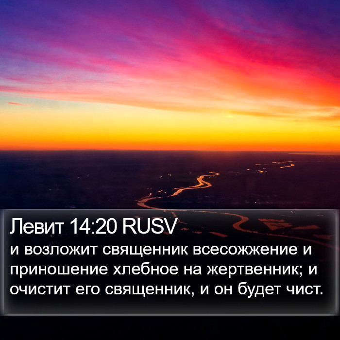 Левит 14:20 RUSV Bible Study