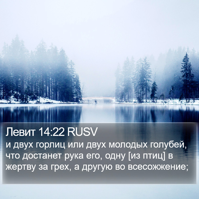 Левит 14:22 RUSV Bible Study