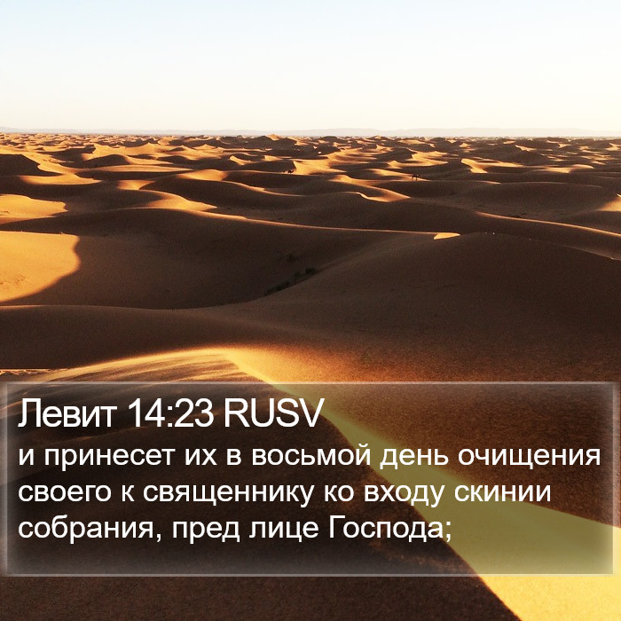 Левит 14:23 RUSV Bible Study