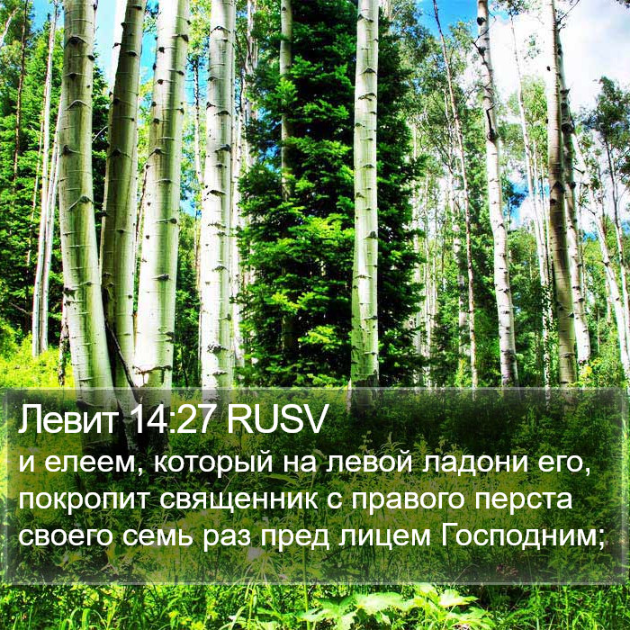 Левит 14:27 RUSV Bible Study