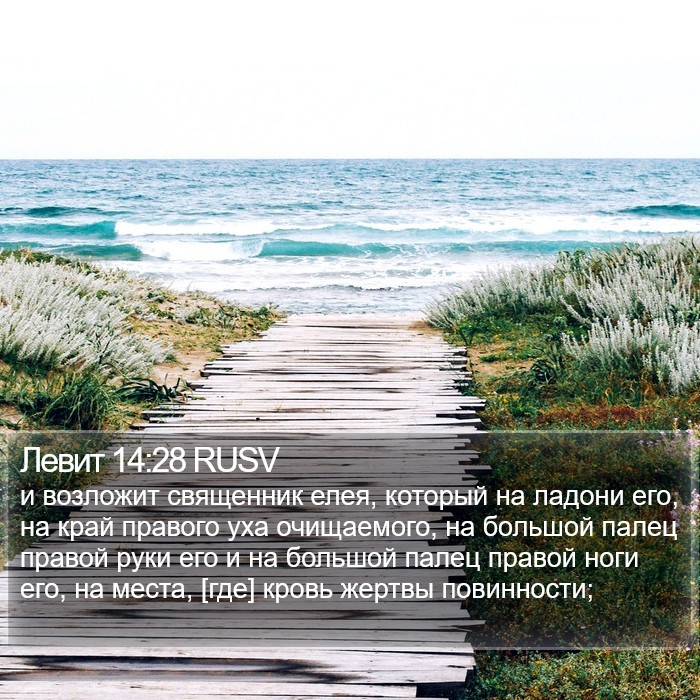 Левит 14:28 RUSV Bible Study