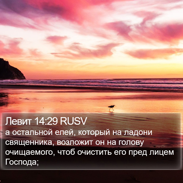 Левит 14:29 RUSV Bible Study