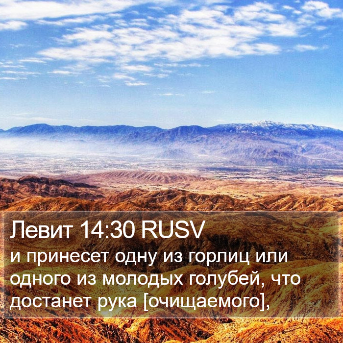 Левит 14:30 RUSV Bible Study