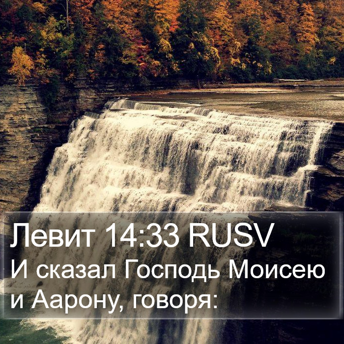 Левит 14:33 RUSV Bible Study