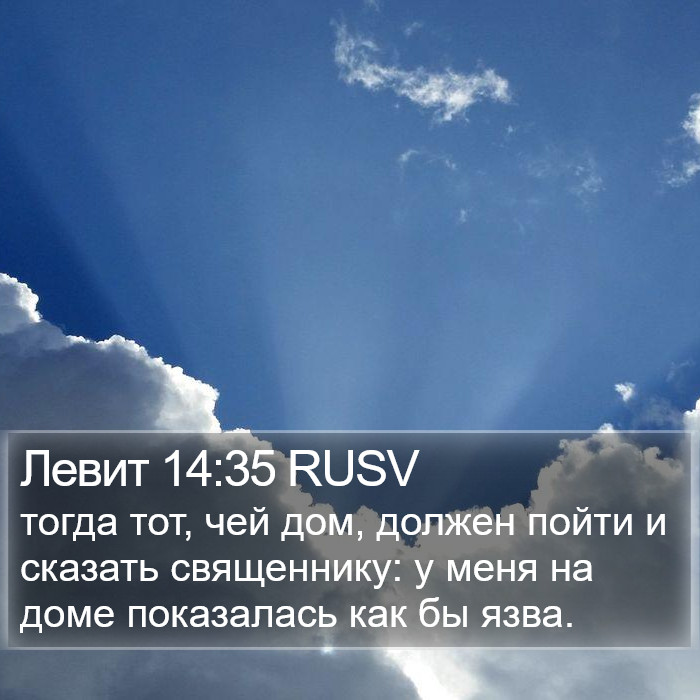 Левит 14:35 RUSV Bible Study