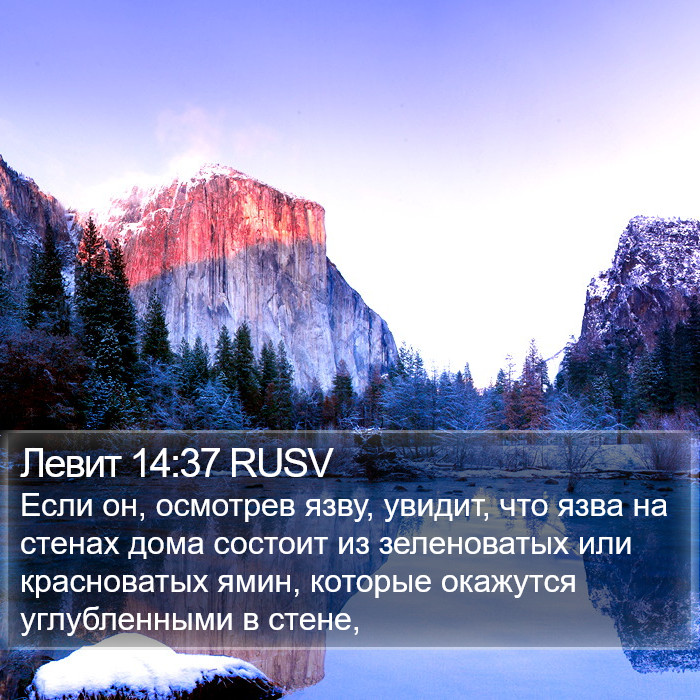 Левит 14:37 RUSV Bible Study