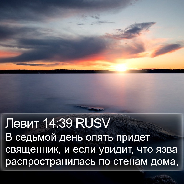 Левит 14:39 RUSV Bible Study