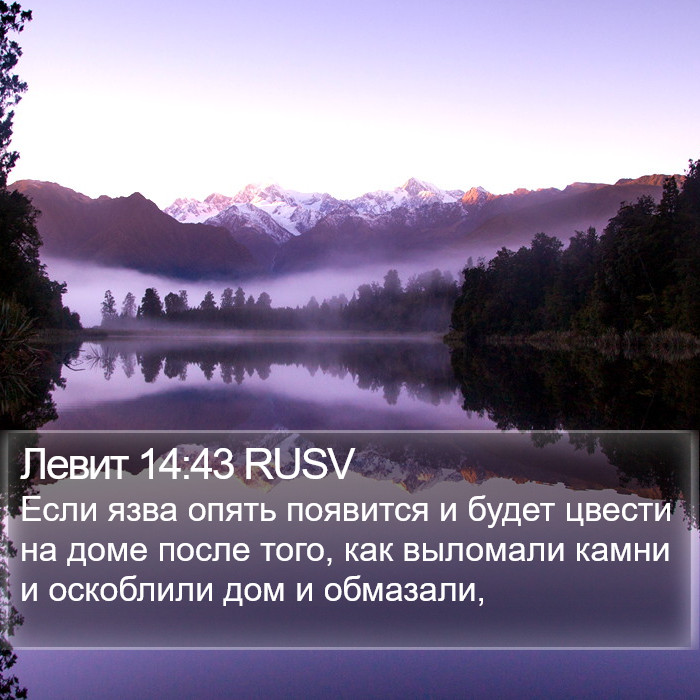 Левит 14:43 RUSV Bible Study