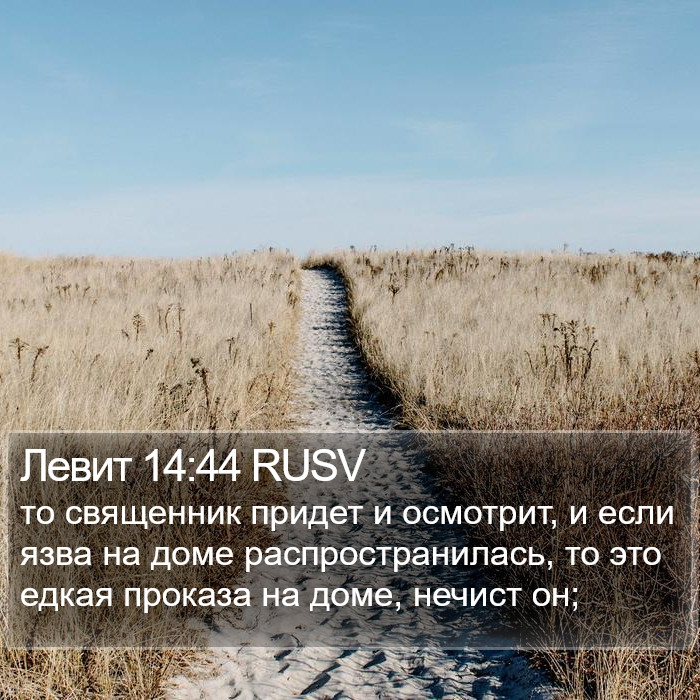 Левит 14:44 RUSV Bible Study