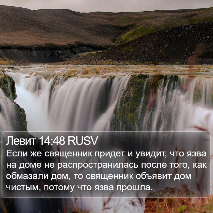 Левит 14:48 RUSV Bible Study