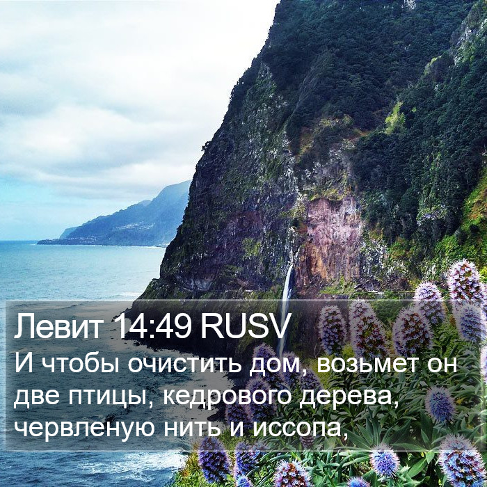 Левит 14:49 RUSV Bible Study