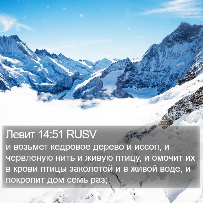 Левит 14:51 RUSV Bible Study