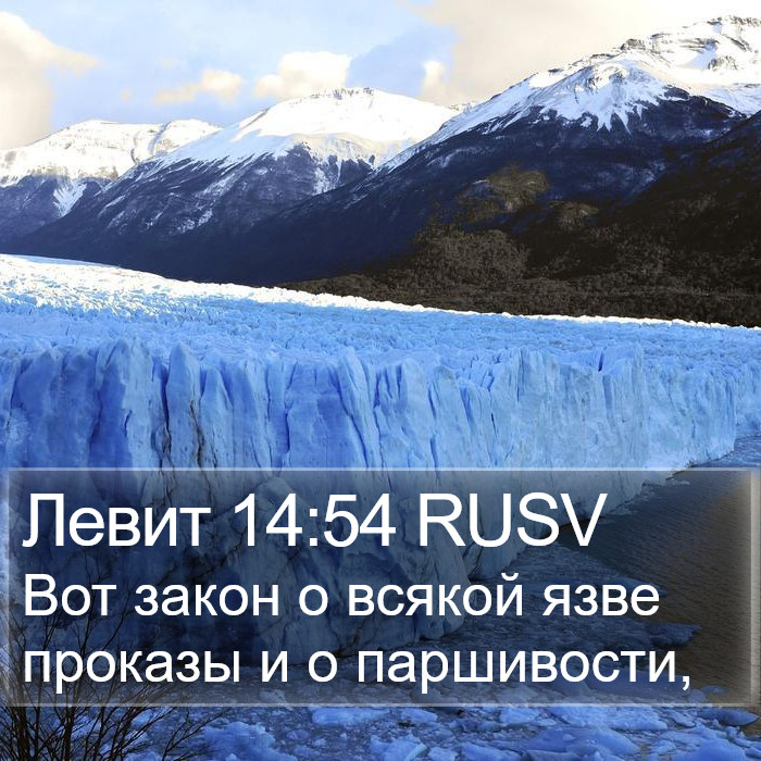 Левит 14:54 RUSV Bible Study