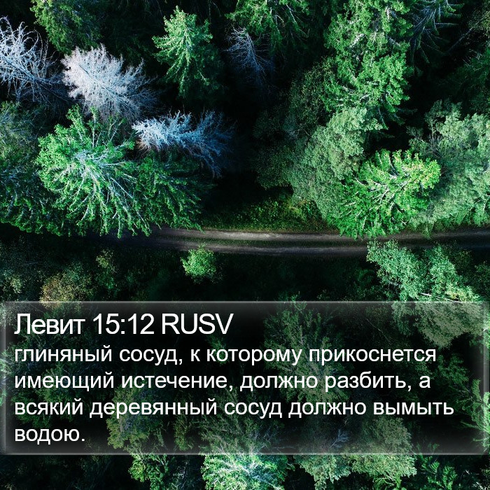 Левит 15:12 RUSV Bible Study