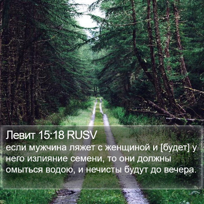 Левит 15:18 RUSV Bible Study