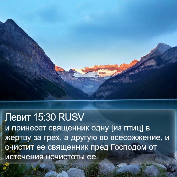 Левит 15:30 RUSV Bible Study