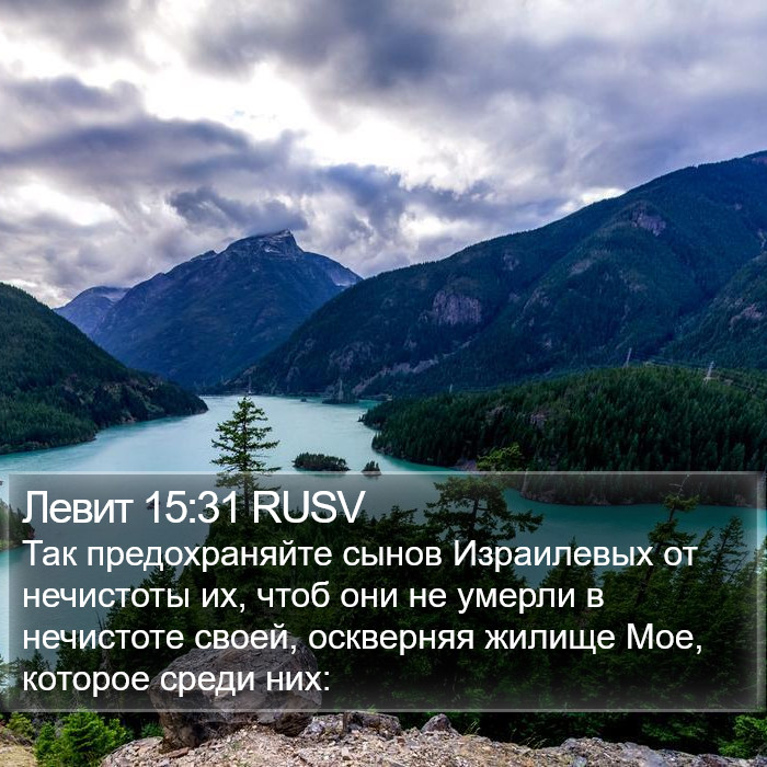 Левит 15:31 RUSV Bible Study