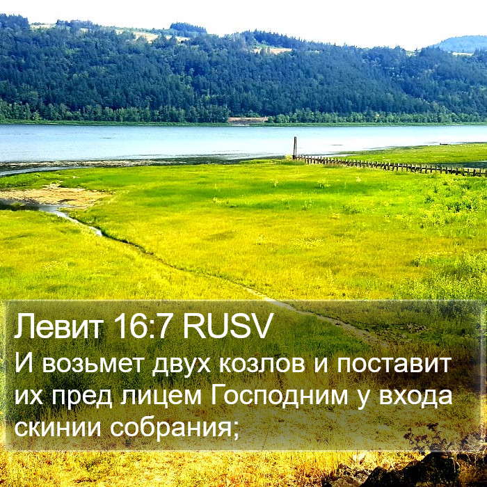 Левит 16:7 RUSV Bible Study