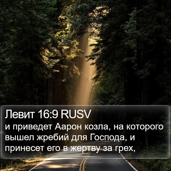 Левит 16:9 RUSV Bible Study